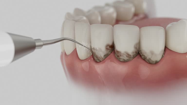 Reliable Dental contractor in Goodman, MS by Dentist Open Now
